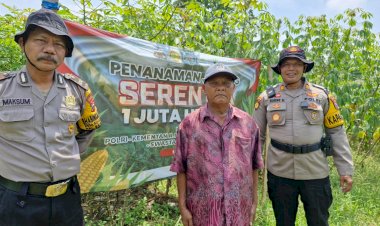 Kapolsek-Balongbendo-Tinjau-Lahan-Jagung-di-Desa-Seduri,-Dukung-Program-Ketahanan-Pangan-Asta-Cita-Presiden-RI